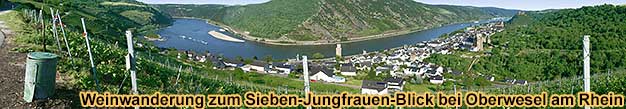 Weinwanderung im Weinbaugebiet Mittelrhein an jedem gewnschten Termin inklusive Weinprobe im Weinberg bei Oberwesel am Rhein