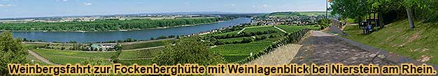 Weinbergsfahrt im Weinbaugebiet Rheinhessen mit Traktor und Planwagen inklusive Weinprobe