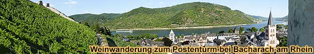 Weinwanderung im Weinbaugebiet Mittelrhein an jedem gewnschten Termin inklusive Weinprobe im Weinberg bei Bacharach am Rhein